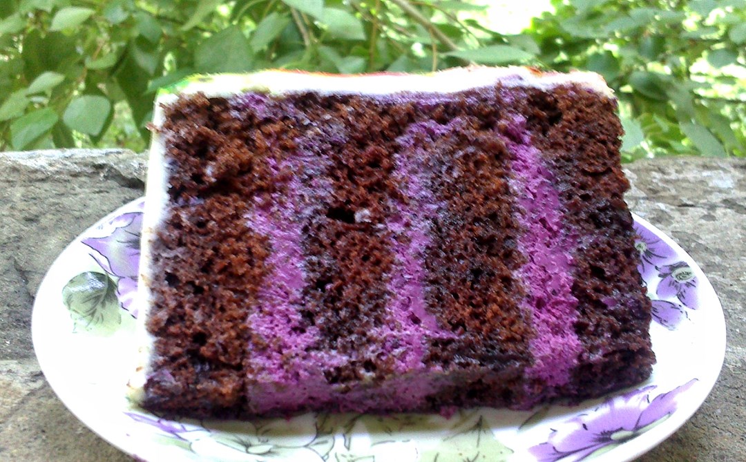 Шоколадный торт с черничным кремом