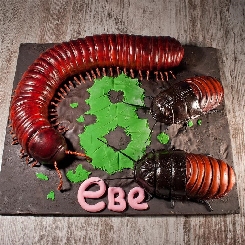 Детский торт для Евы, любительницы насекомых